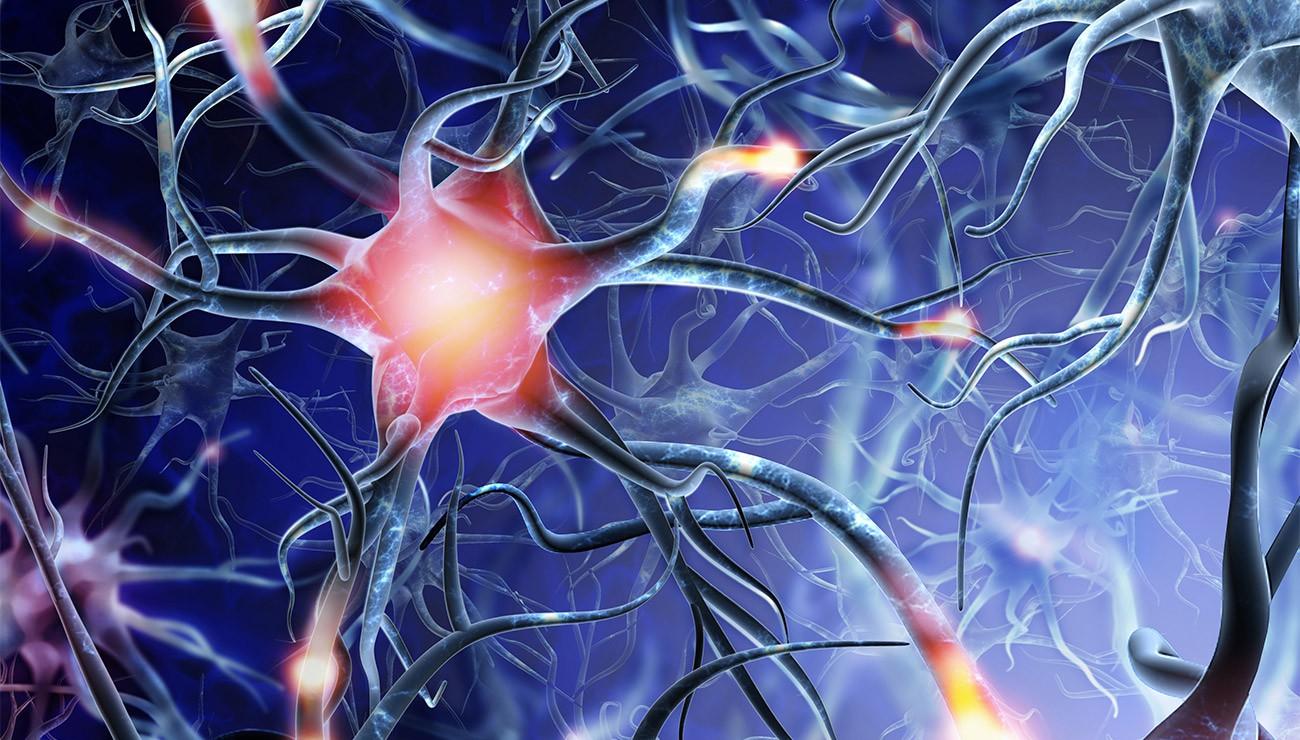Science et méditation